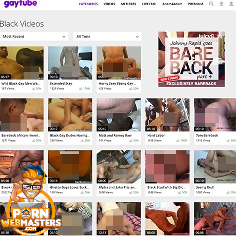 GayTube Black